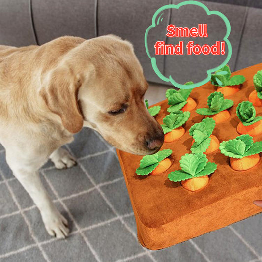 Carrot Plush Vegetable Chew Toy For Dogs