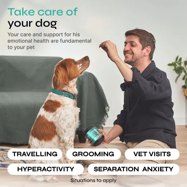 Hemp Calming Chews For Dog