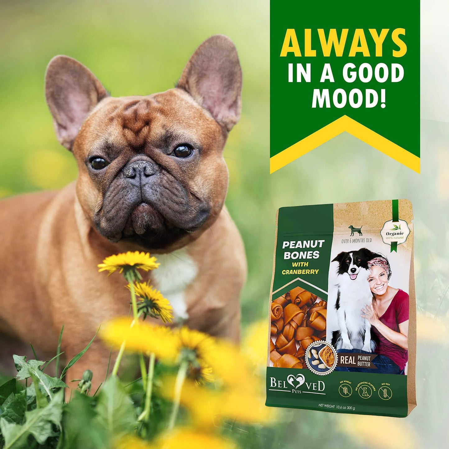 Dog Peanut Butter Bones With Cranberry