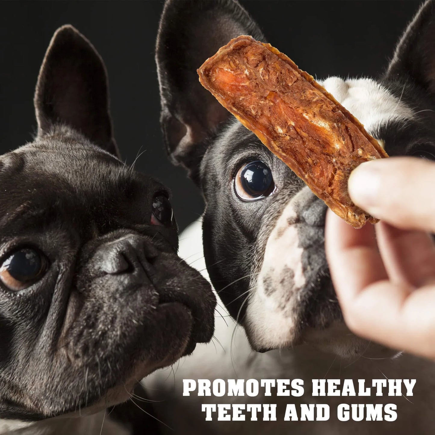 Chicken Jerky Dog Treats 1.5 Lb