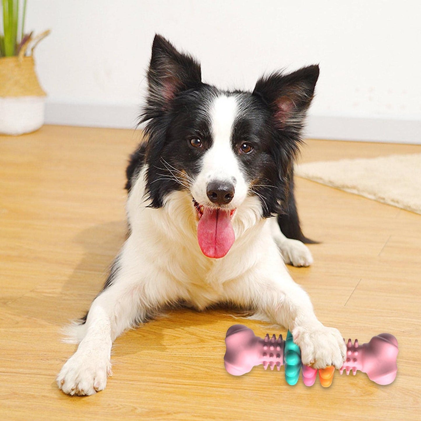 Dog Chew Bone Teeth Cleaning Toy