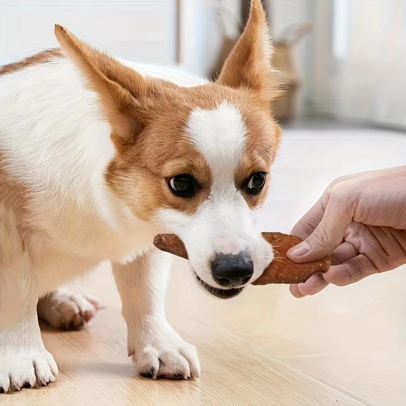 Pet-Shaped Chik Chicken Snacks
