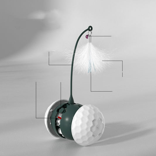 Enjoying Electric Intelligent Bite Resistant Cat Toys