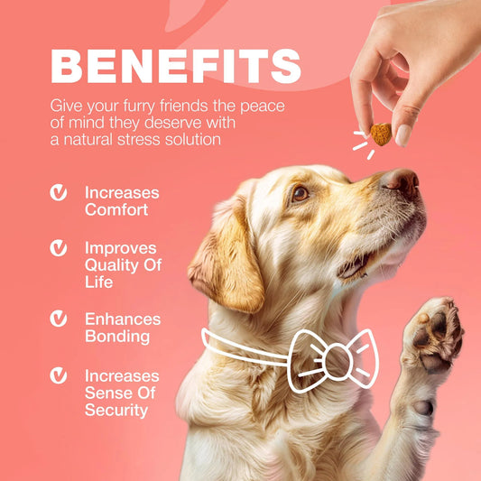Dog Flea And Tick Treatment Chews