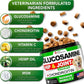 Glucosamine For Dogs 2 Pack Hip And Joint Supplement
