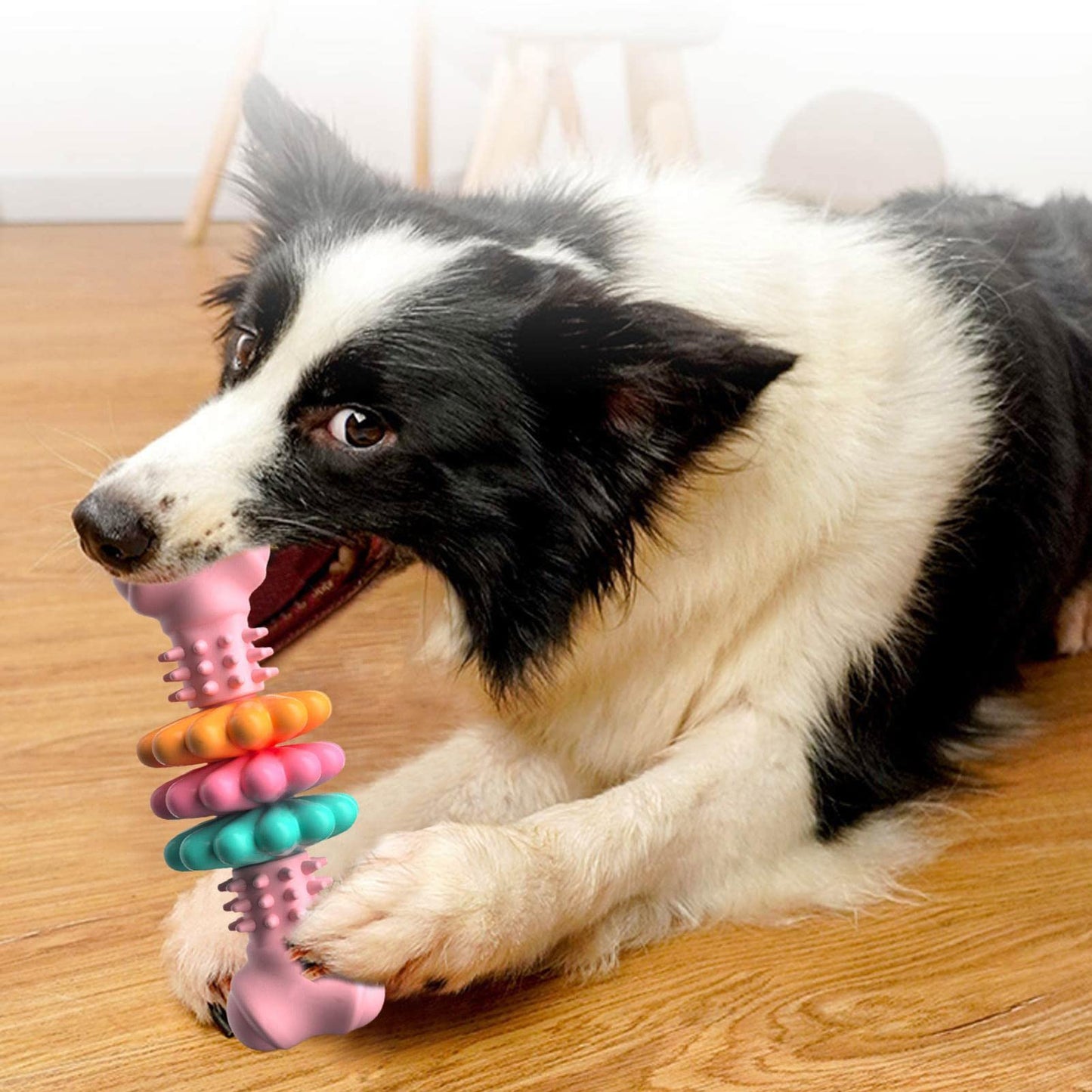 Dog Chew Bone Teeth Cleaning Toy